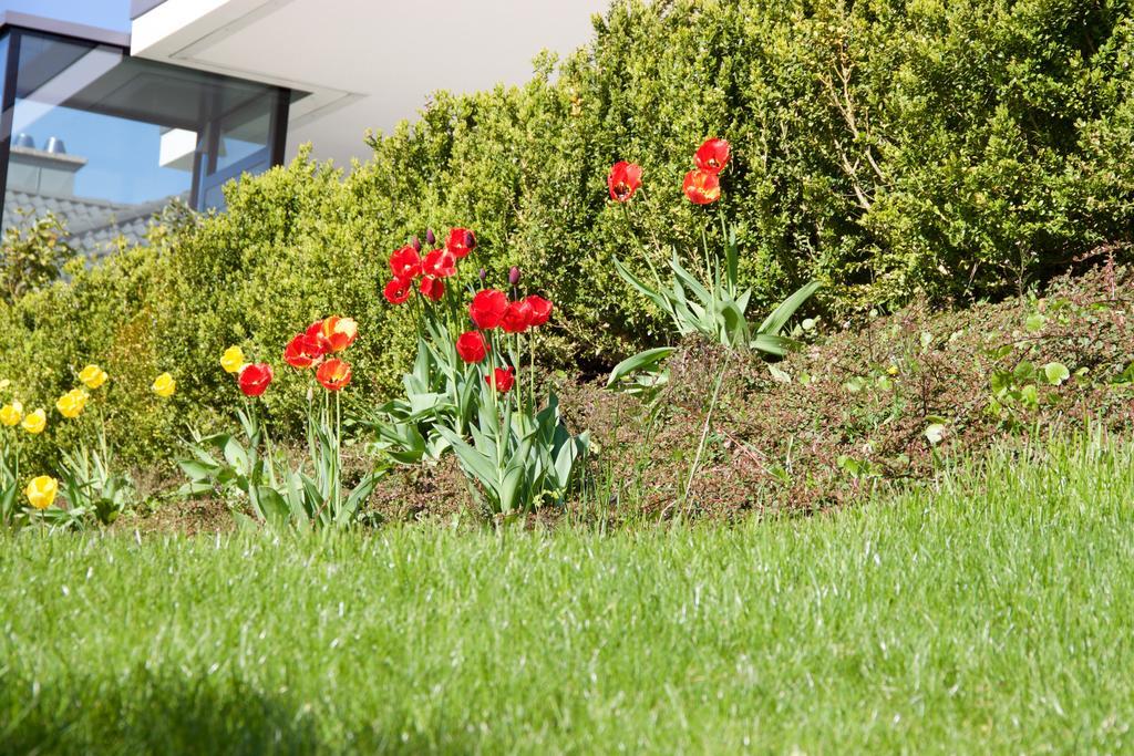 Apartments Villa Traunseeblick Gmunden Zewnętrze zdjęcie